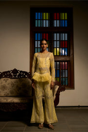 Lime Radiance Embellished Co-ord Set