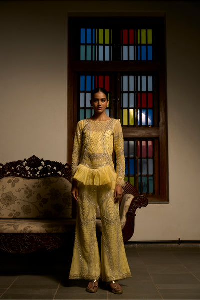 Lime Radiance Embellished Co-ord Set